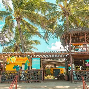 book here