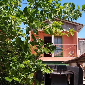 Revoada Dos Papagaios Florianópolis